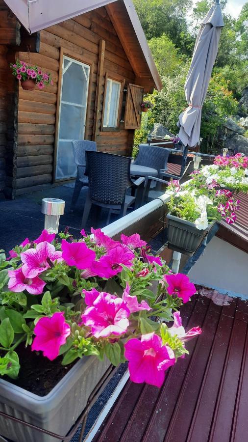 Mali Raj Apartmani Cetinje Esterno foto